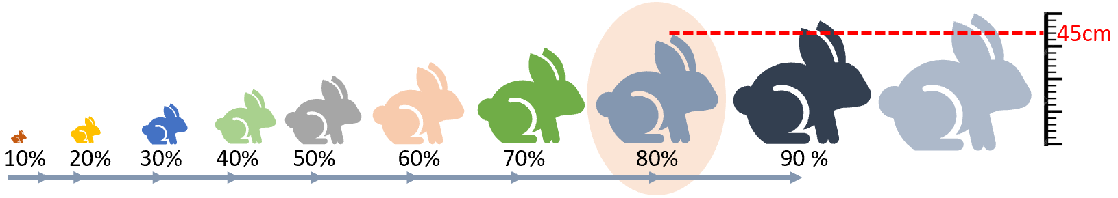 The 80th percentile