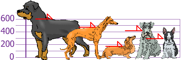 Sample of dogs heights