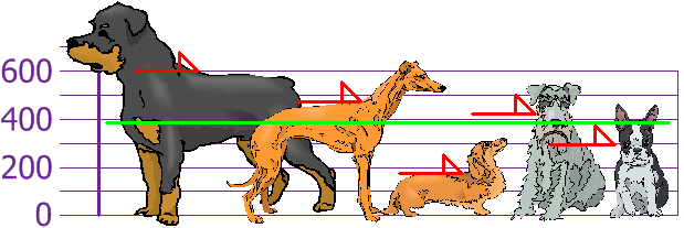 Sample of dogs heights